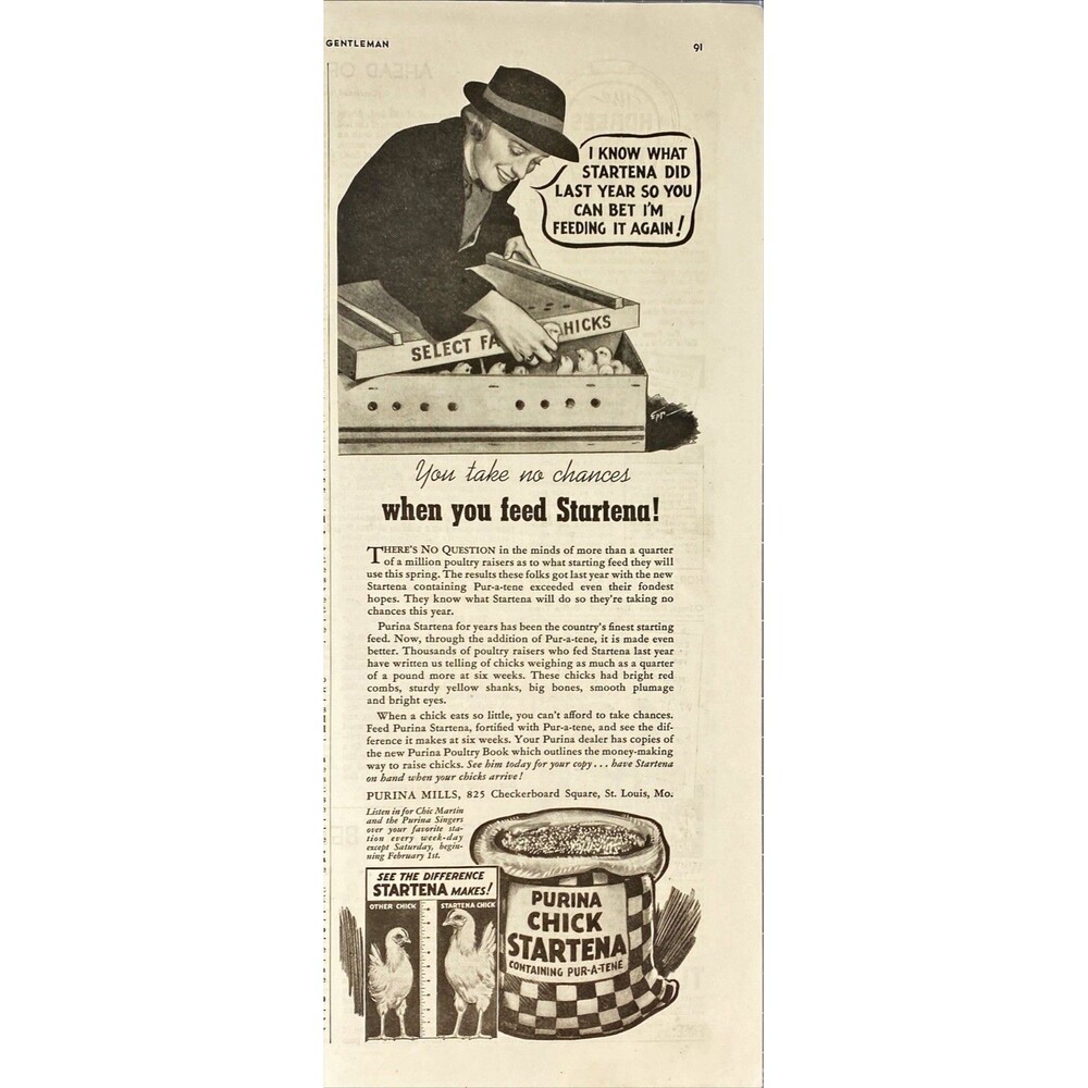 Purina Chick Startena Feed "You Take No Chances with Startena!" Vtg Print Ad '37